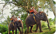 Elephant ride at Bakas