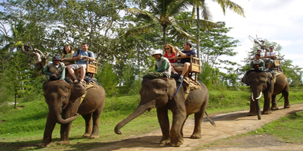 Elephant ride tour in Bakas