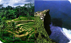 Jati luwih rice terrace and Uluwatu temple