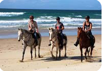 Horese riding at saba beach