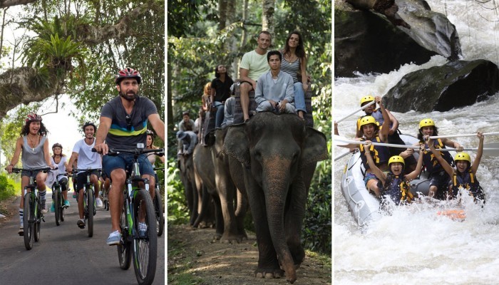 cosmo bali elephant ride tour package