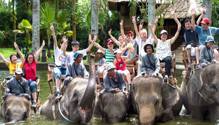 Bali Elephant Ride Tour