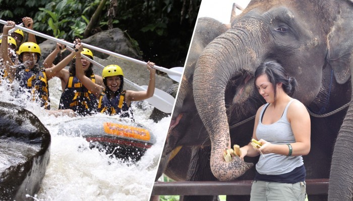 cosmo bali elephant ride tour package