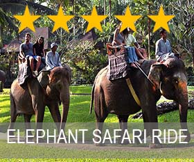 bali 5 star elephant ride