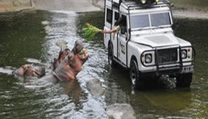 4x4 bali safari and marine park