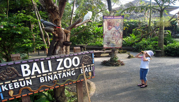 bali zoo park