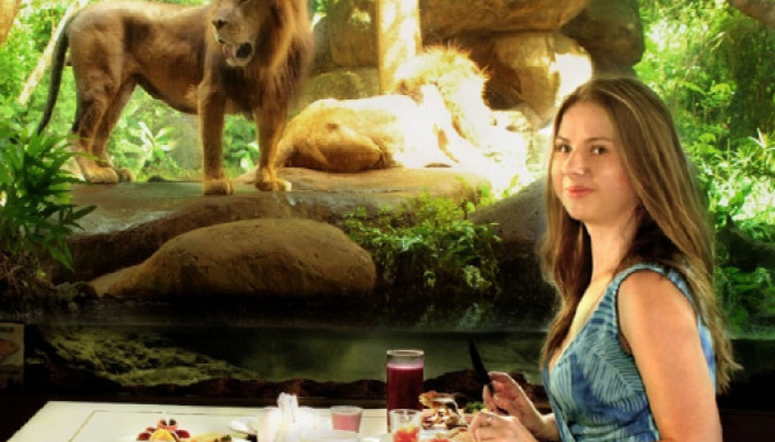 breakfast with the lions at bali safari and marine park