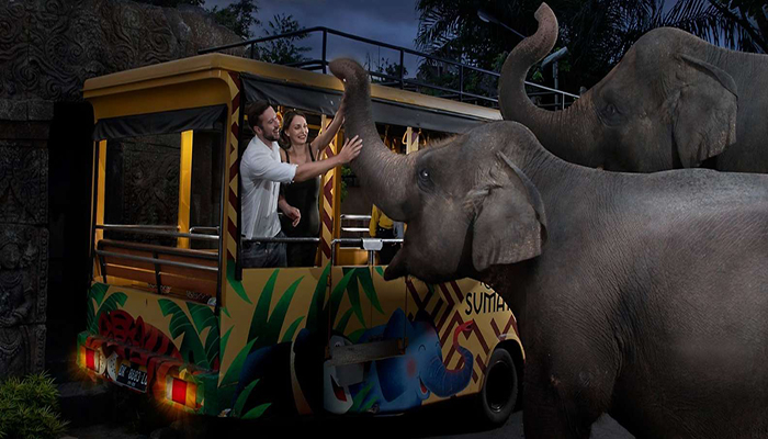 night bali zoo
