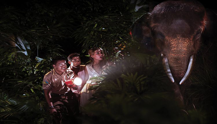 night bali zoo