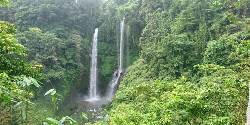 Sekumpul Waterfall - Bali Tour Package