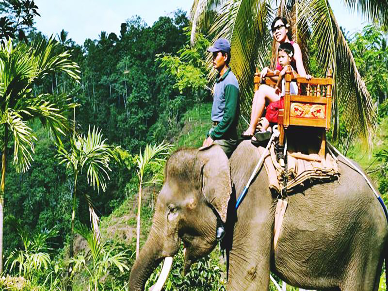 Elephant-Ride-Bali-Tour-Service