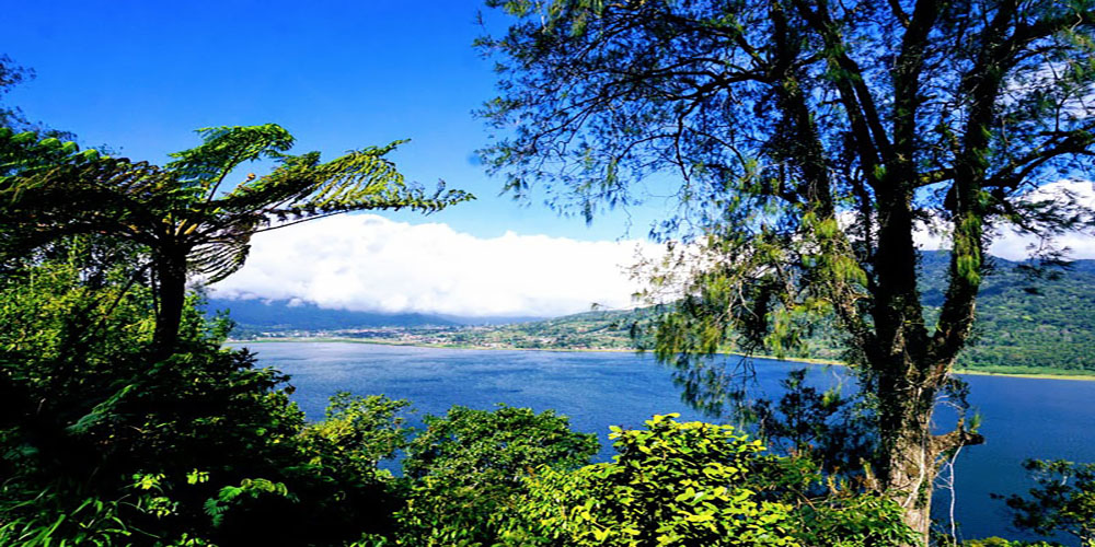 Twin Lake Tamblingan lake and Buyan Lake - Bali Tour Package