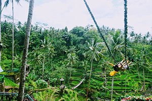 Bali Swing - Bali Tour Package