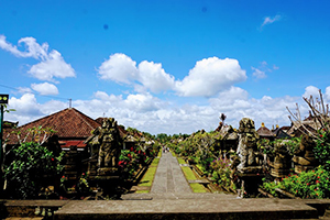 Bali Tour Driver - Pengelipuran Village