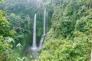 Sekumpul Waterfall - Bali Tour