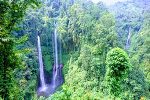 Sekumpul Waterfall - Bali Tour Package