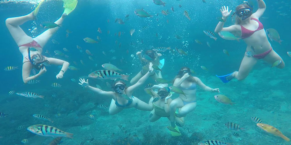 Snorkeling to Watch Stunning Water View in Tanjung Benoa - Bali Tour Package