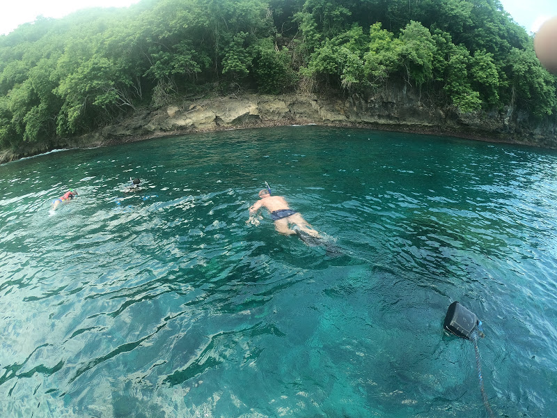 Bali snorkeling - Bali tour service