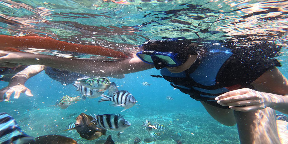 Glass Bottom Boat to Enjoy Underwater Scenery without Diving - Bali Tour Package