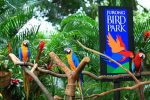 Bali Bird Park - Bali Tour Package