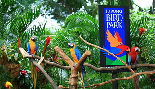 Bali Bird Park - Bali Tour Package