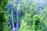 Sekumpul Waterfall - Bali Tour Package 